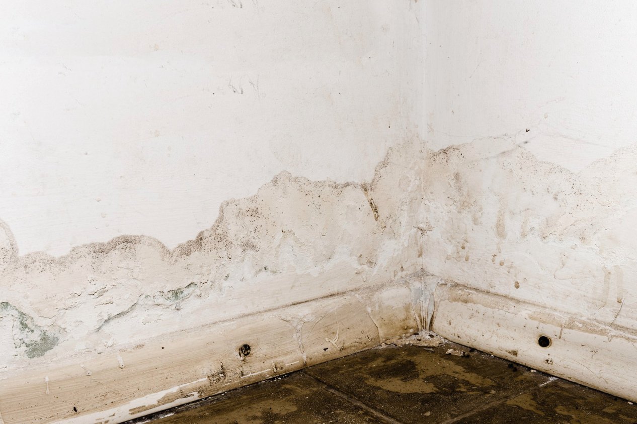 Wasserschadensanierung